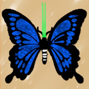 butterflies: 1865