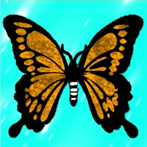 butterflies: 1802