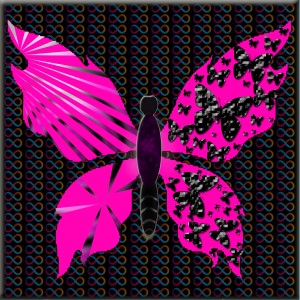 butterflies: 171