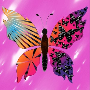 butterflies: 789