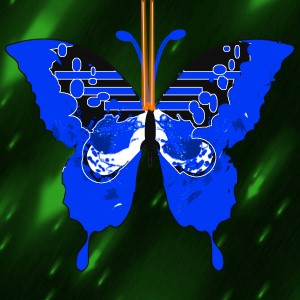 butterflies: 643