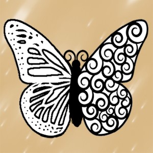 butterflies: 313