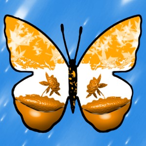 butterflies: 1314