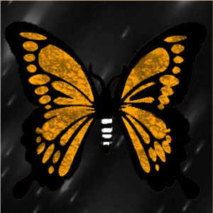 butterflies: 1271