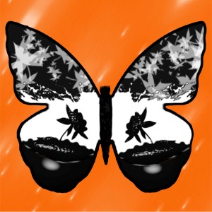 butterflies: 854