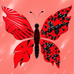 butterflies: 1507