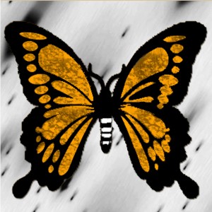 butterflies: 1141