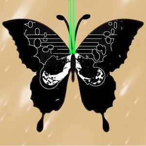 butterflies: 2079