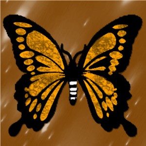 butterflies: 1562