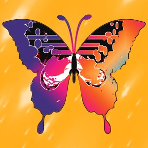butterflies: 1566
