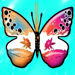butterflies: 582