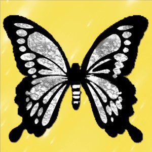 butterflies: 512
