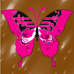 butterflies: 1062