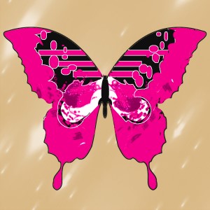 butterflies: 427