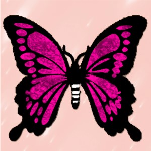 butterflies: 1523