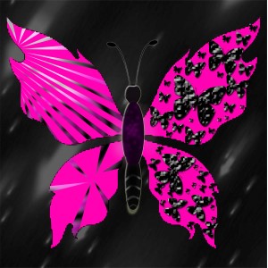 butterflies: 1609