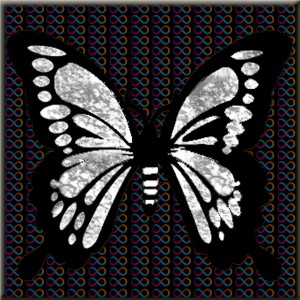 butterflies: 968