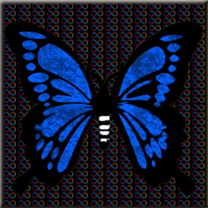 butterflies: 1121