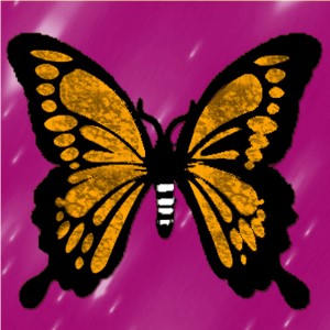 butterflies: 496