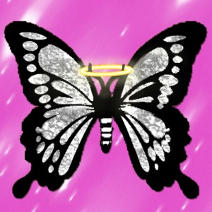 butterflies: 964