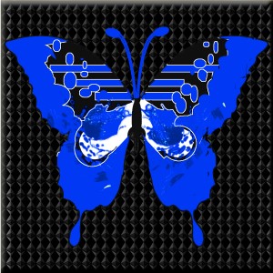 butterflies: 2011