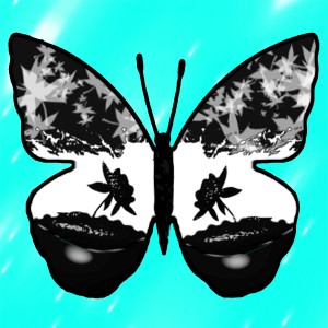 butterflies: 1464