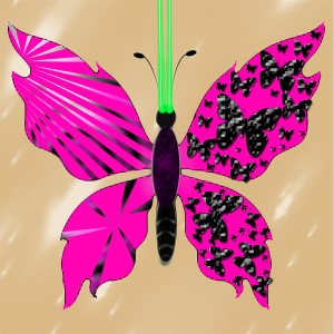 butterflies: 1676