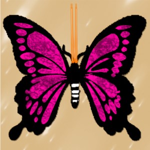 butterflies: 1546