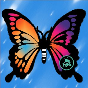 butterflies: 488
