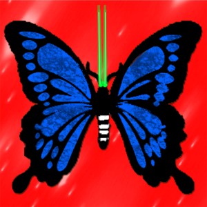 butterflies: 1472