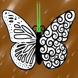 butterflies: 907