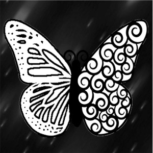 butterflies: 419