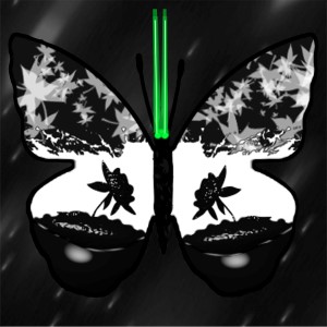 butterflies: 53