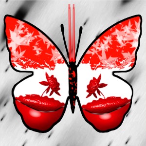 butterflies: 1538