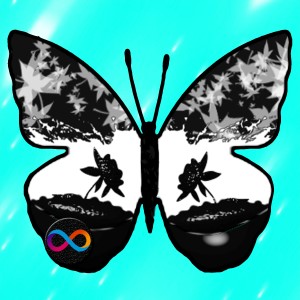 butterflies: 911