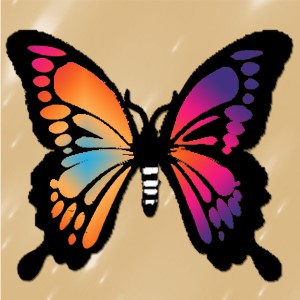 butterflies: 2007