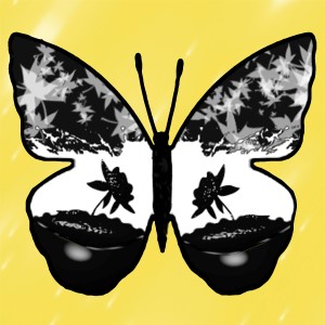 butterflies: 602