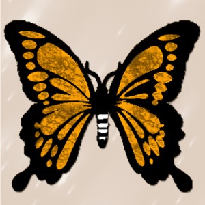 butterflies: 248