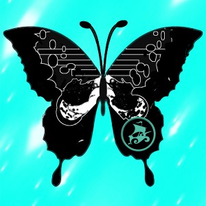 butterflies: 1401