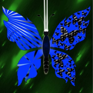 butterflies: 354