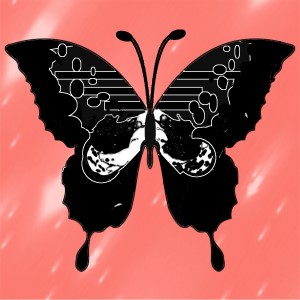 butterflies: 781