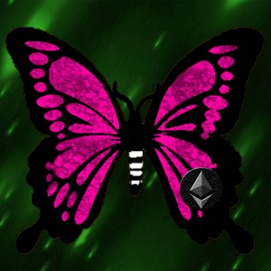 butterflies: 1338