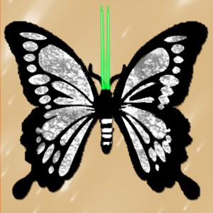 butterflies: 179