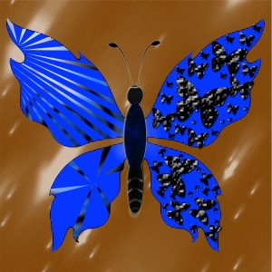 butterflies: 1735