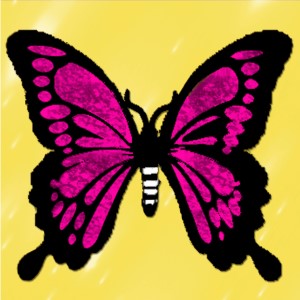 butterflies: 1873