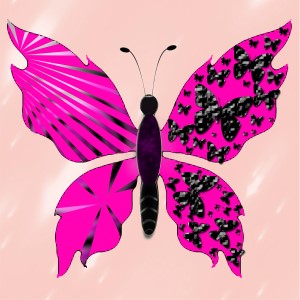butterflies: 842