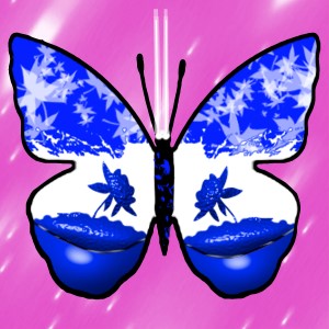 butterflies: 58