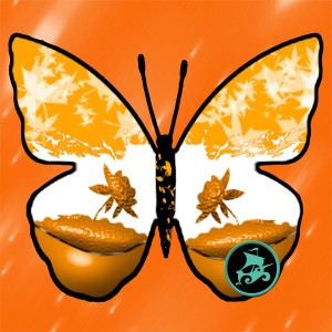 butterflies: 2060