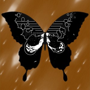 butterflies: 121