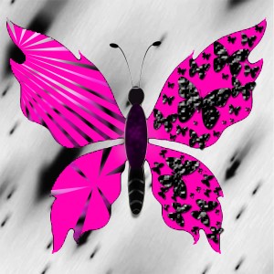 butterflies: 1528